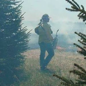 Meet your Posher, Annette